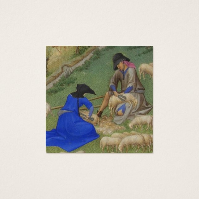 中世の羊の剪断イラストレーション (正面)