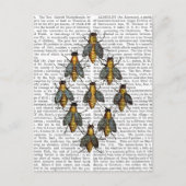 中世の蜂2 ポストカード (正面)