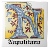 中世の青と赤のツタのライトレターN タイル (正面)