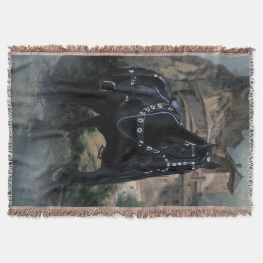 中世の馬 – 毛布 (正面)