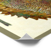 中世ひまわりイタリアン花 ポスター (角)