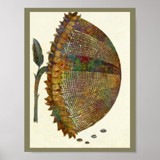 中世ひまわりイタリアン花 ポスター (正面)