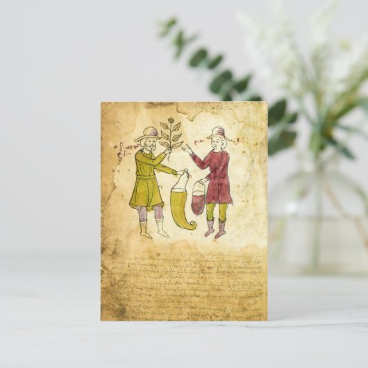 中世ハーバリスト原稿イラストレーションカード ポストカード (スタンド正面)