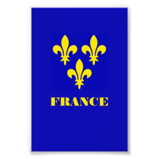 中世フランス王室標準紋章学の忠実さ フォトプリント