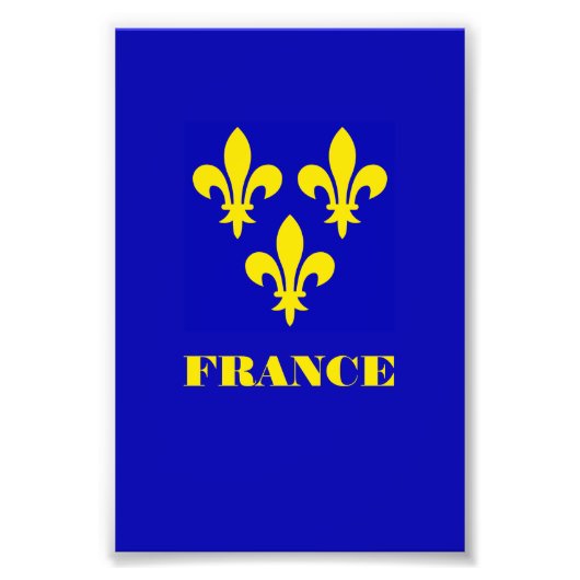 中世フランス王室標準紋章学の忠実さ フォトプリント            (正面)