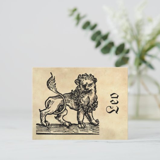 中世ルネサンスの十二星座記号 獅子座 ライオン ポストカード (スタンド正面)