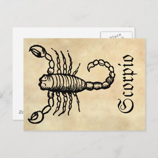 中世ルネッサンス〔占星術の〕十二宮図シンボル蠍座 ポストカード (正面/裏面)