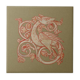 中世伝本龍陶瓦 タイル