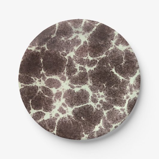 中世紀モダン型エレガント亀甲岩 ペーパープレート (正面)