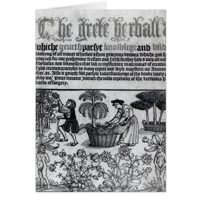 中世薬草園 (正面)