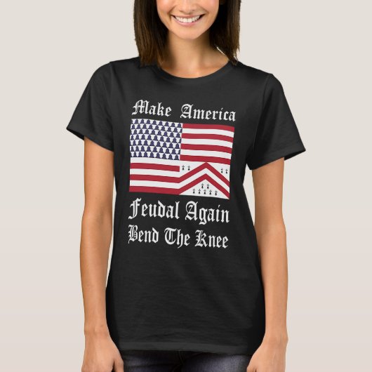 中世赤白青紋章 Tシャツ (正面)