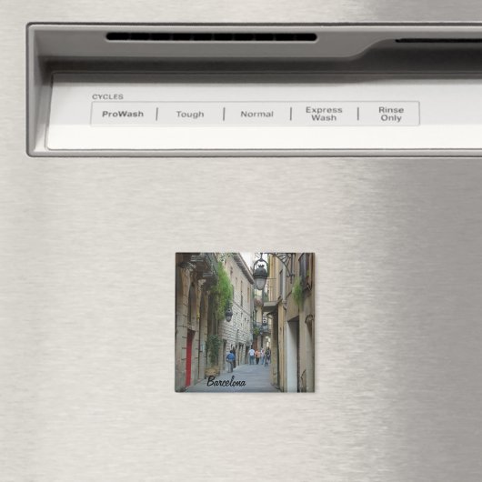 中世通り マグネット (インサイチュ (食洗機))