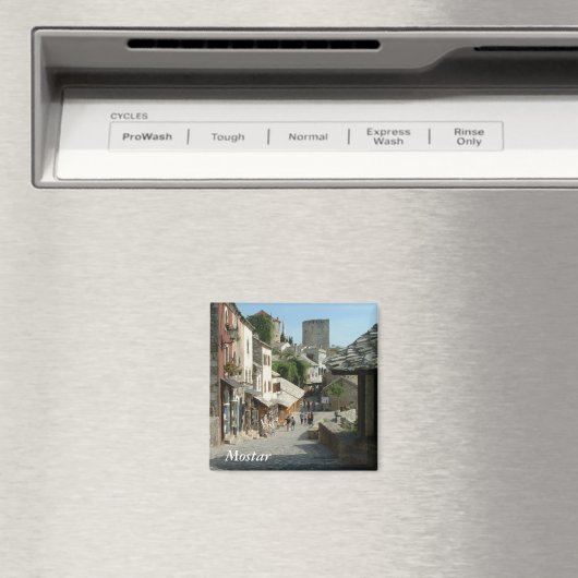 中世通り マグネット (インサイチュ (食洗機))