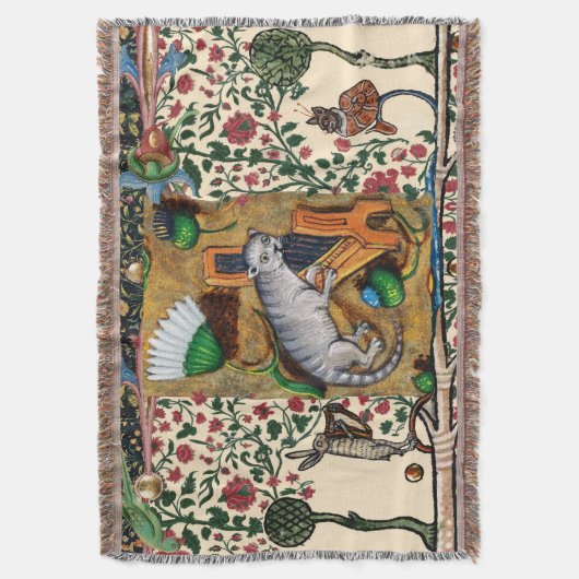 中世風変わりの流行音楽、猫の遊器官 スローブランケット (正面縦)