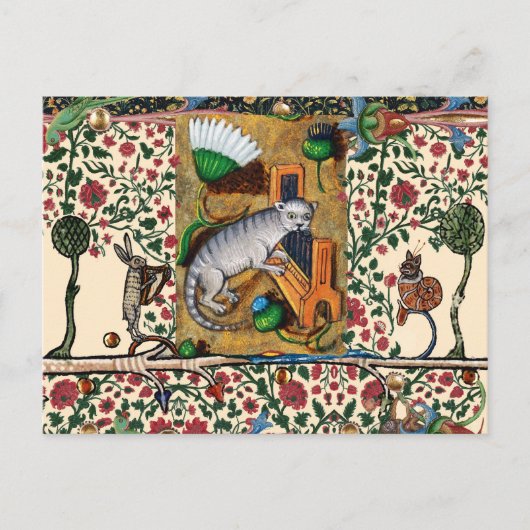 中世風変わりの流行音楽、猫の遊器官 ポストカード (正面)