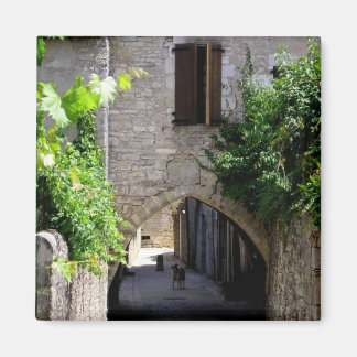 中世，磁石 マグネット