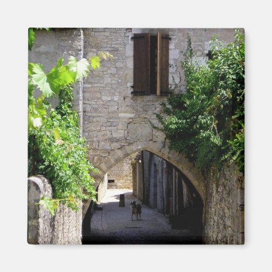 中世，磁石 マグネット (正面)