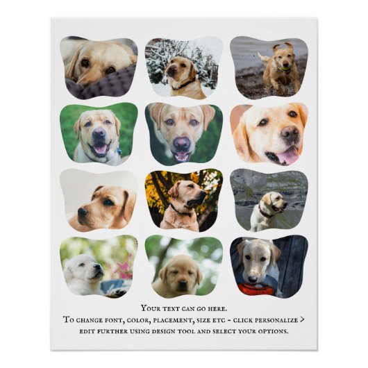 中分類12写真・文字ユニークパーソナライズされた ポスター (正面)