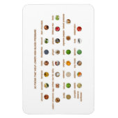 中分類30食救済品で高血圧を自然下げる マグネット (縦)