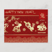 中国のうさぎ年 |カスタム年 シーズンポストカード (正面)