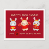 中国のうさぎ年 |カスタム年 ポストカード (正面)