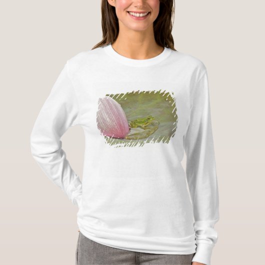 中国のかえるとハスの花弁 Tシャツ (正面)