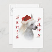 中国のすり身のサンタ シーズンポストカード (正面/裏面)