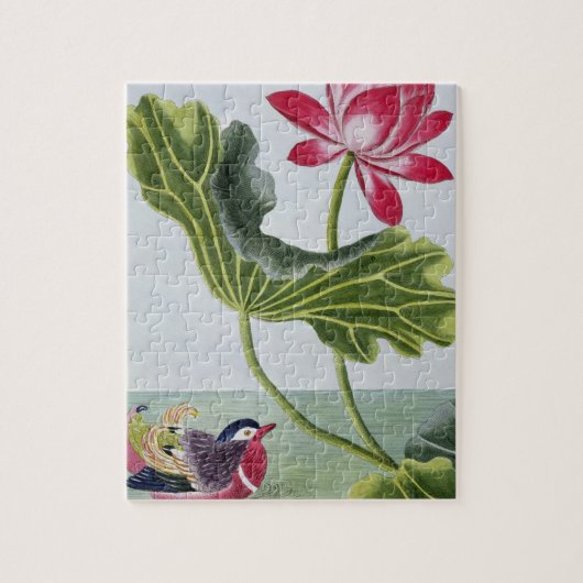 中国ので赤いスイレン、容積Iのプレート82、から「 ジグソーパズル (縦)