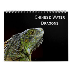 中国のなウォータードラゴン属 カレンダー