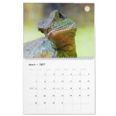 中国のなウォータードラゴン属 カレンダー (3月 2027)