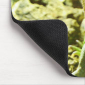 中国のなウォータードラゴン属 マウスパッド (コーナー)