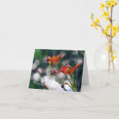 中国のなオニユリの花はあなたの挨拶のブランクを加えます カード (黄色い花)