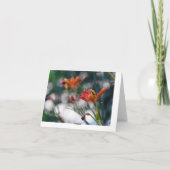 中国のなオニユリの花はあなたの挨拶のブランクを加えます カード (裏面)