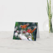 中国のなオニユリの花はあなたの挨拶のブランクを加えます カード (正面)