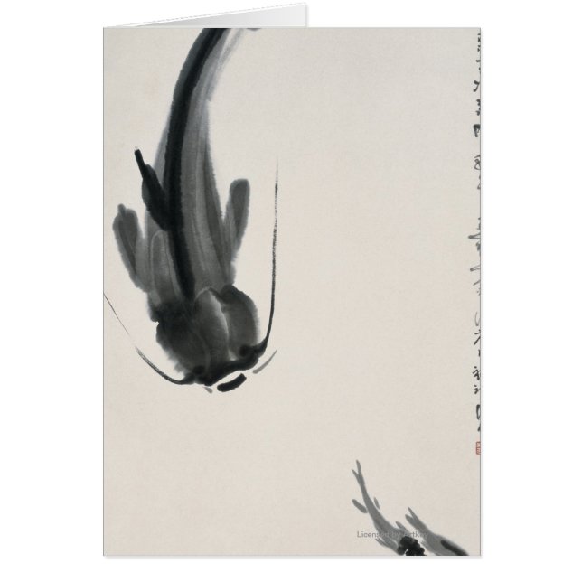 中国のなナマズ (正面)