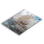 中国のな庭の赤外線 ノートブック (左側)