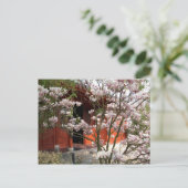 中国のな庭 ポストカード (スタンド正面)