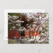 中国のな庭 ポストカード (正面/裏面)