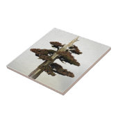 中国のな杜松の盆栽の木 タイル (側面)