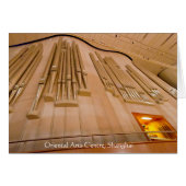 中国のな管器官 (正面横)