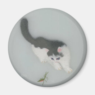 中国のな絹猫の写真 マグネット
