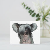 中国のな頂点に達された犬 ポストカード (スタンド正面)