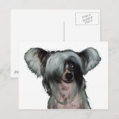 中国のな頂点に達された犬 ポストカード (正面/裏面)