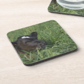 中国のな(占星術の)十二宮図では、2009年はウシの年です コースター (左側)