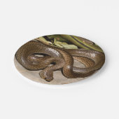 中国のなratsnake ペーパープレート (アングル)