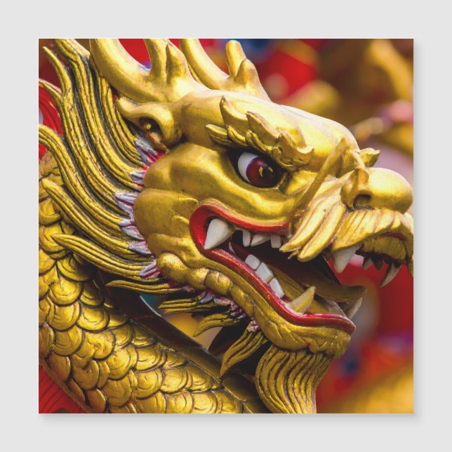 中国のドラゴン磁気カード (正面)