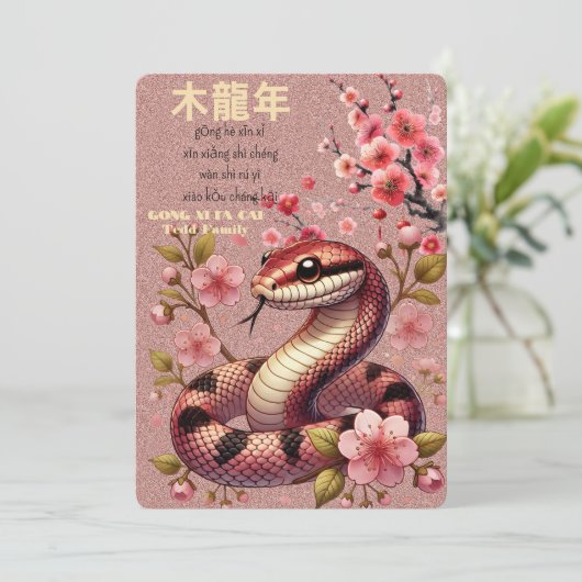 中国の大蛇 招待状 (スタンド正面)