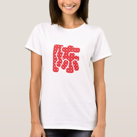 中国の姓 Tシャツ (正面)