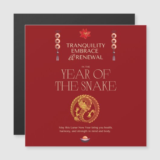 中国の年賀状 (正面/裏面)