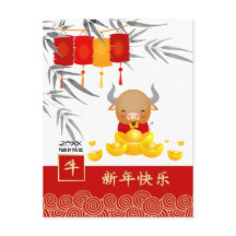 中国の年 |カスタム年